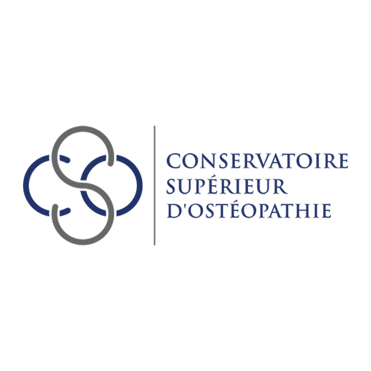 Logo CSO