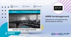 Publicité numérique présentant un écran d'ordinateur affichant le site web d'AMM Aménagement, avec un texte décrivant AMM comme un spécialiste de l'aménagement de grands espaces intérieurs. Un lien vers le site web, des logos et des accents géométriques sont également visibles.