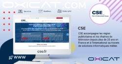 Un graphique numérique présente CSE, un expert en solutions publicitaires cross-média pour la télévision, avec son site web sur un écran. Le texte met en évidence les 25 années et plus d'expérience de l'entreprise dans le secteur. Des logos et des icônes de site décorent l'arrière-plan.