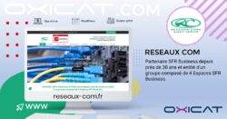 Graphique numérique représentant le site web de RESEAUX COM sur un écran, mettant l'accent sur son partenariat avec SFR Business depuis 30 ans. Elle comprend des logos, des câbles de réseau et des informations sur l'entreprise, avec un design moderne et des accents pastel.