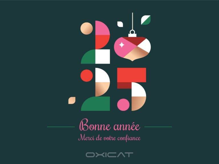 Carte de vœux OXICAT 2025