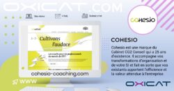 Référence Cohesio Coaching